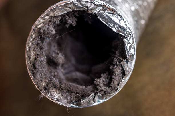 Best Affordable Air Duct Cleaning  in Pflugerville, TX